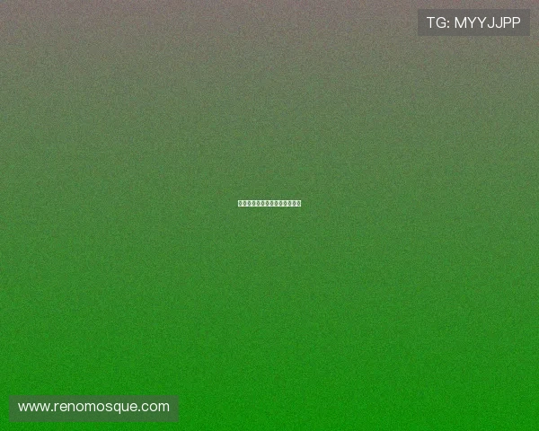 格拉斯纳展望四分之一决赛争绩 格拉斯纳展望四分之一决赛争绩