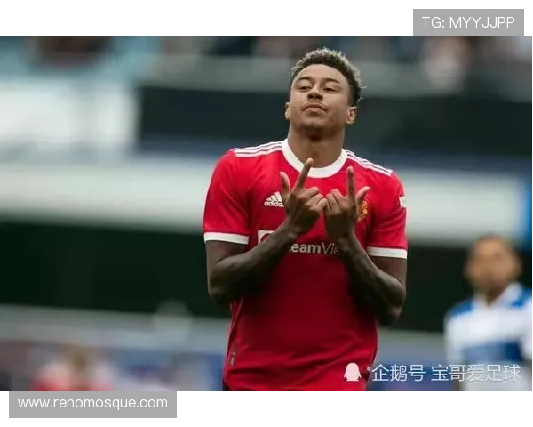 费迪南德赞曼联星锋影阿森纳难及